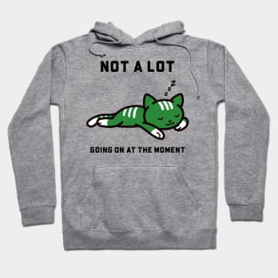 Not a lot Going On at the Moment Hoodie